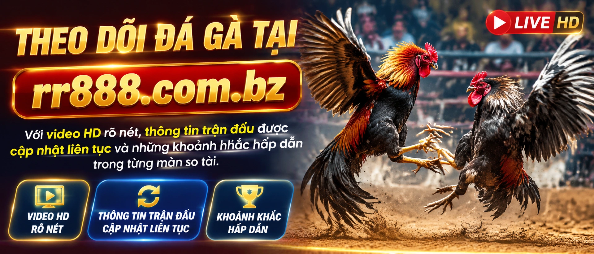 Liên hệ RR888.com.bz | Hỗ trợ casino, nổ hũ 20 rr888 poker banner 2